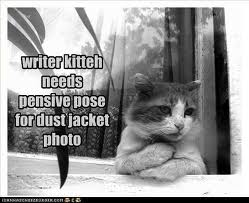 pensive writer kitteh