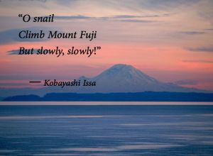 zen-issa-o-snail-climb-mount-fuji
