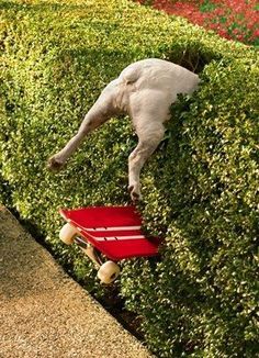 ad73b690eebf96cc2825178ba4b7094b